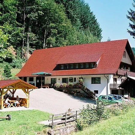 Hinterkimmighof-2 Appartement Oberharmersbach